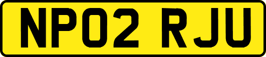 NP02RJU