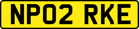 NP02RKE