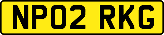 NP02RKG