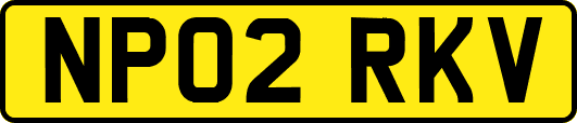 NP02RKV