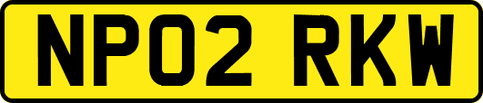 NP02RKW