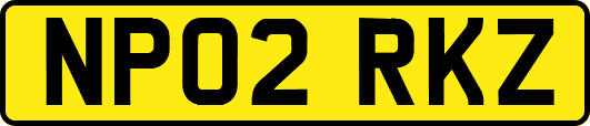 NP02RKZ