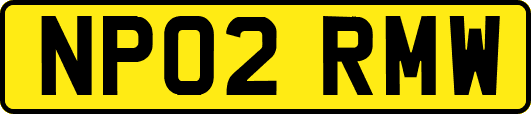 NP02RMW