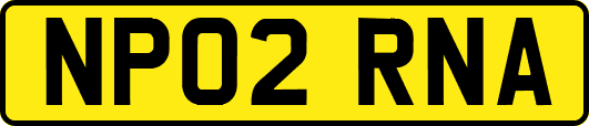 NP02RNA