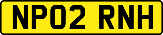 NP02RNH