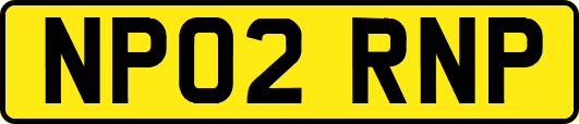 NP02RNP
