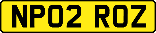 NP02ROZ