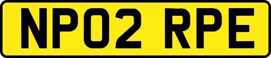 NP02RPE