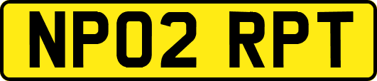 NP02RPT