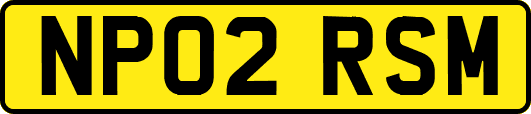 NP02RSM