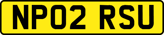 NP02RSU
