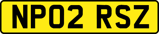 NP02RSZ