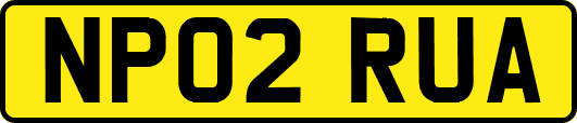 NP02RUA