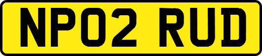 NP02RUD