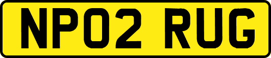 NP02RUG