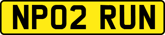 NP02RUN