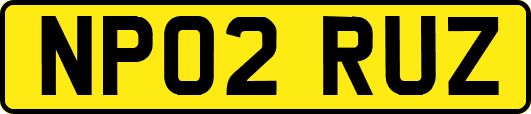 NP02RUZ