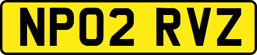 NP02RVZ