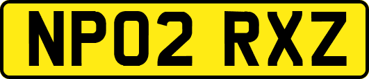 NP02RXZ