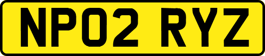 NP02RYZ