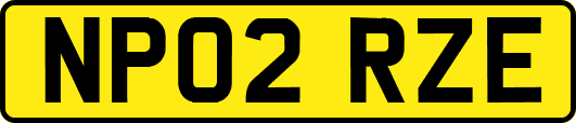 NP02RZE
