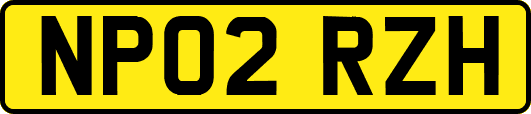NP02RZH
