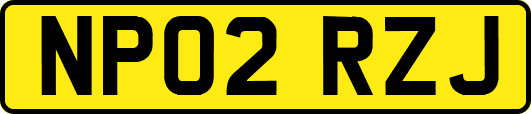 NP02RZJ