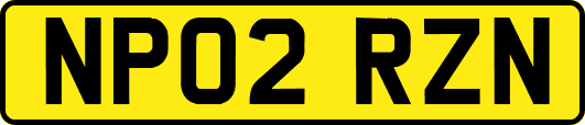NP02RZN