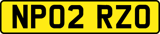 NP02RZO