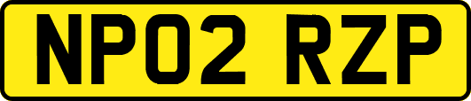 NP02RZP
