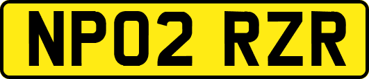 NP02RZR