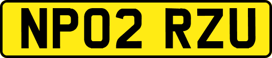 NP02RZU