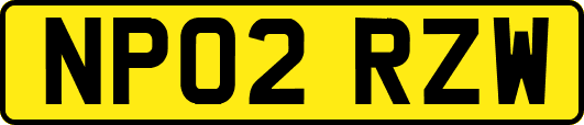 NP02RZW