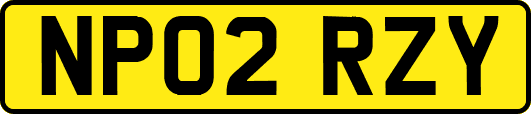 NP02RZY