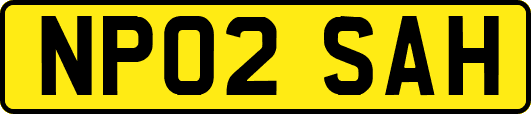 NP02SAH