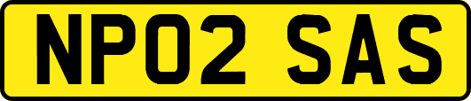 NP02SAS