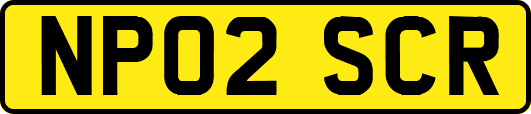 NP02SCR