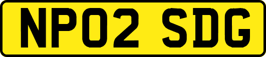 NP02SDG