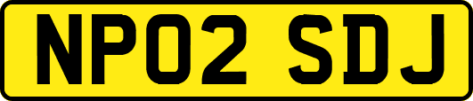 NP02SDJ