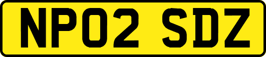NP02SDZ