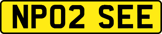 NP02SEE