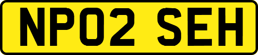 NP02SEH
