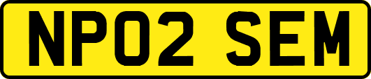NP02SEM