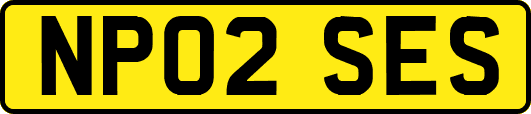 NP02SES
