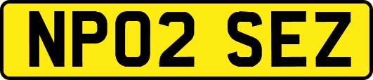 NP02SEZ