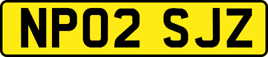 NP02SJZ