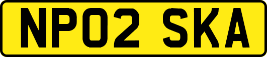 NP02SKA