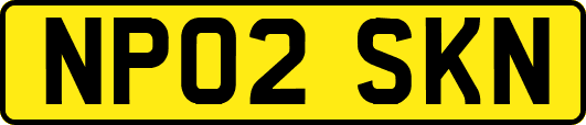 NP02SKN