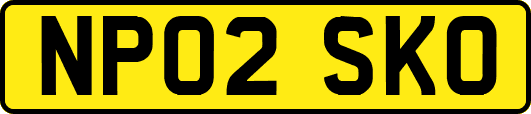 NP02SKO