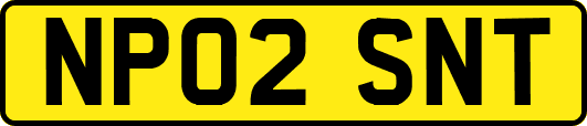 NP02SNT